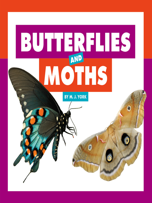 Upplýsingar um Butterflies and Moths eftir M. J. York - Biðlisti